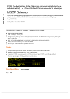 7-MGCP Gateway.pdf